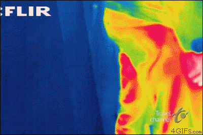 Thermal-camera-FLIR-fart