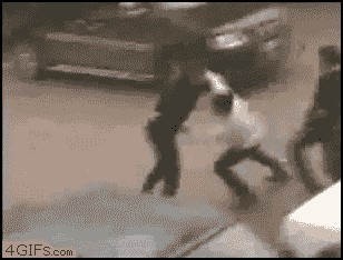 http://forgifs.com/gallery/d/133218-2/Boxer_roadragers.gif