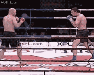 MMA-cartwheel-kick-KO