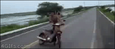Kid-scooter-fail.gif
