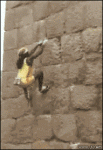 Wall-climber-hax