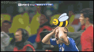 Soccer_bee