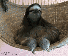 Sloth-hammock-chillin.gif