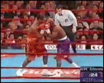 Boxing_referee_dodge