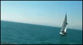 Whale_lands_on_boat