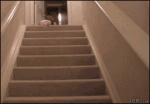 Baby_stairs_slides