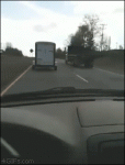 Wood-through-car-windshield