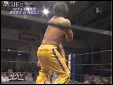 Japanese_wrestling