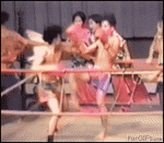 Kickboxer_punches_audience