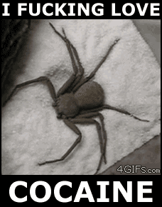 http://forgifs.com/gallery/d/190079-1/Coke_spider.gif?