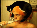 Shower_cat_hat