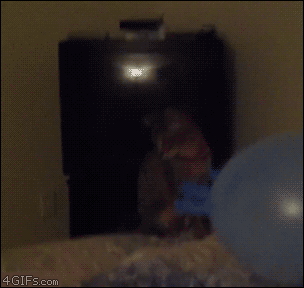 Balloon-glove-cat-scare.gif