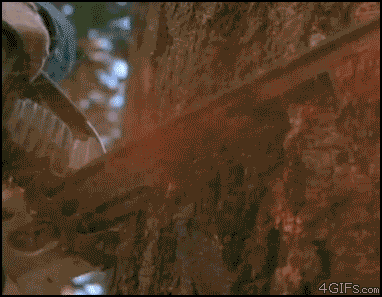 image: Chuck-Norris-stops-chainsaw