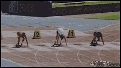 Track-race-came-first.gif