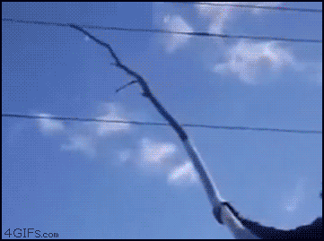 Dumbass-touches-power-lines-with-stick