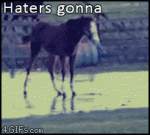 Haters-horse-ice