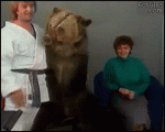 Karate-bear-attacks-woman
