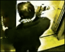 Dog-elevator-accident-unharmed.gif