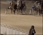 Horse-race-public-humping