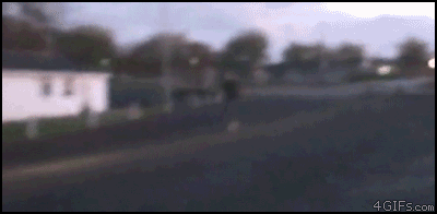 Jumps-over-car