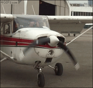 Silly-cartoon-propeller