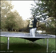 Fatty-jumping-trampoline