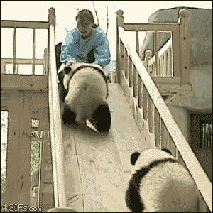 Pandas-play-slide-flip