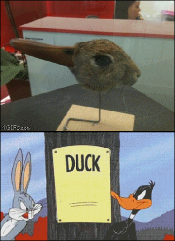 Duck-rabbit-illusion-Bugs-bunny-Daffy