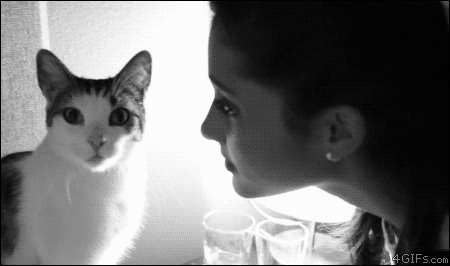 Cat-denies-Ariana-Grande-kiss.gif