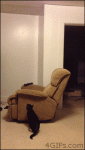 Parkour-cat-chair-springboard