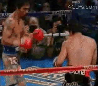 Boxing-Pacquiao-knockout.gif