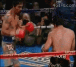 Boxing-Pacquiao-knockout