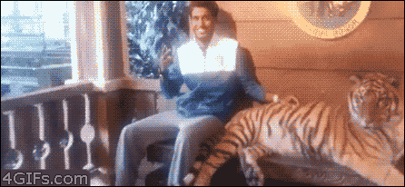 Posing-with-tiger-scared-slips