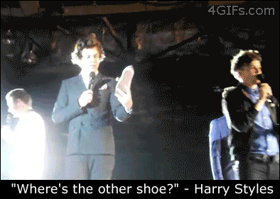 Harry-Styles-hit-by-shoe
