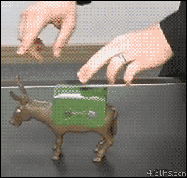 Donkey-cigarette-dispenser-wtf.gif