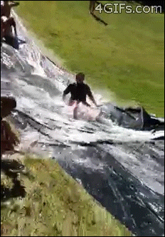 http://forgifs.com/gallery/d/208707-1/Water-slide-beer-doggy-win.gif