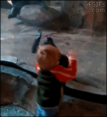 Gorilla-mom-disapproves