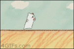 Hamster-meets-turtle-anime