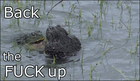 Frogs-fight-battletoads-back-off