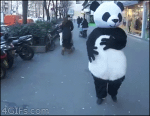 Panda-costume-force-trips-girl
