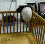 Panda-cub-crib-escape