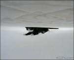 Cat-under-bed-sheets-upside-down