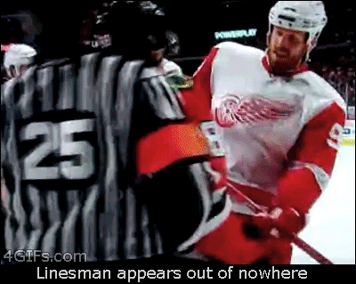 Hockey-linesman-appears