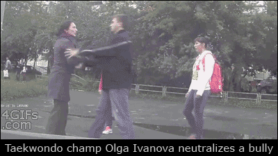 Bully-vs-Taekwondo-champ