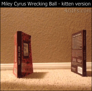 Miley-Cyrus-wrecking-ball-kitten