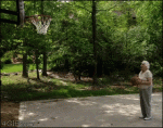 Basketball-grandma-block