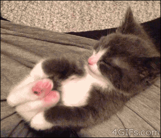 Kitten-paws-stretch