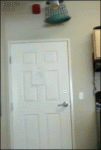 Mouse-trap-door-prank