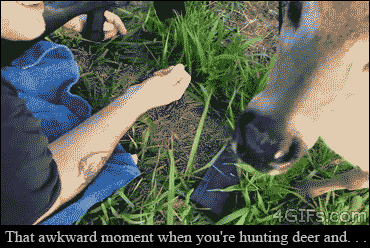 Deer-hunting-gets-awkward