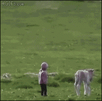 Foal-chases-girl